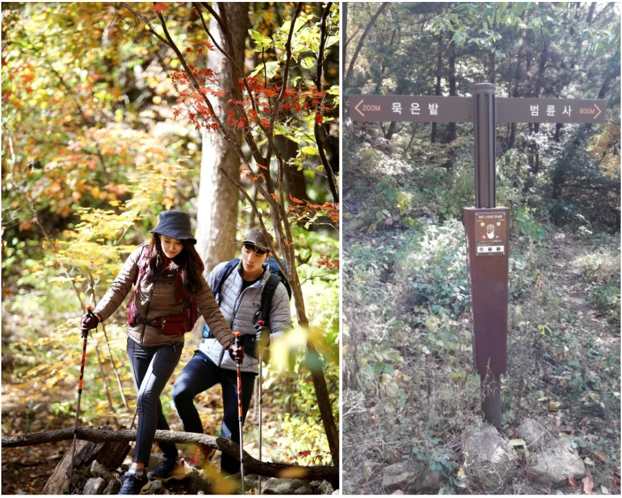 9948C93359F7D8A0118F3A