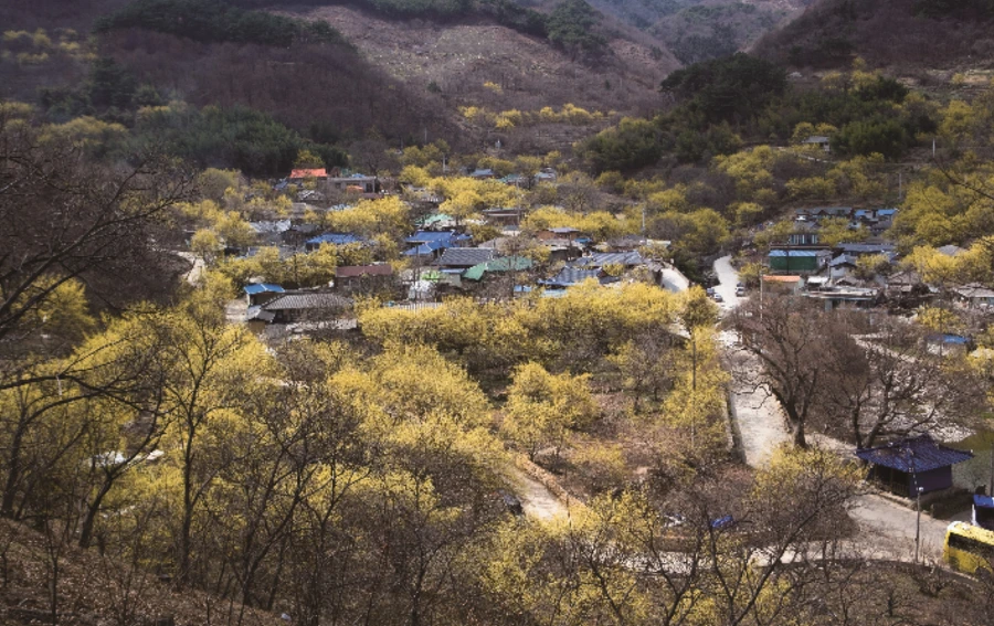 99CC874F5AAF5C4E18728A