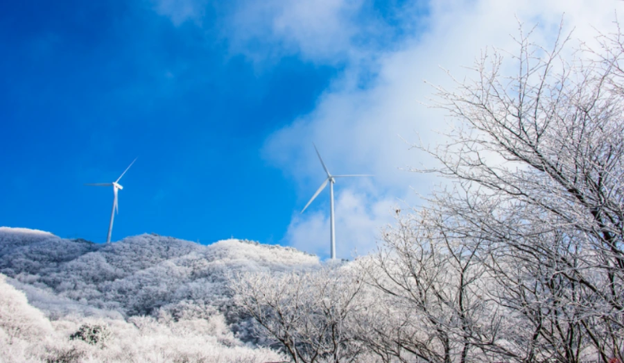 99208A365A52FDB702BEE8