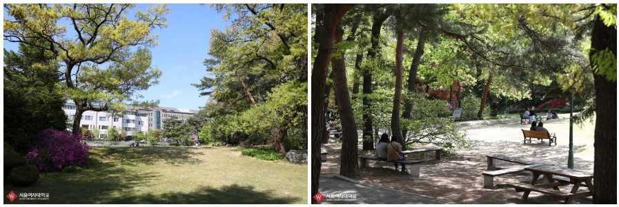 27229543591567DF246E75