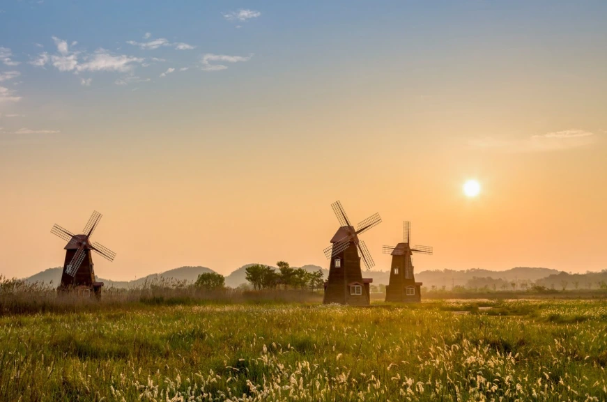 99F598465A3D84270C5EA3