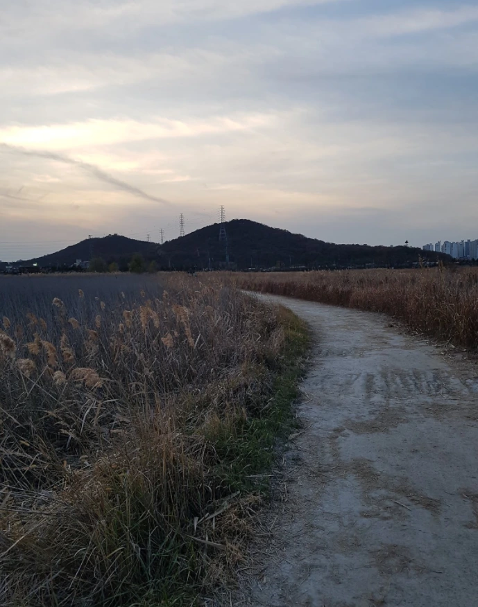 99F01F4C5A3D84230CAF48