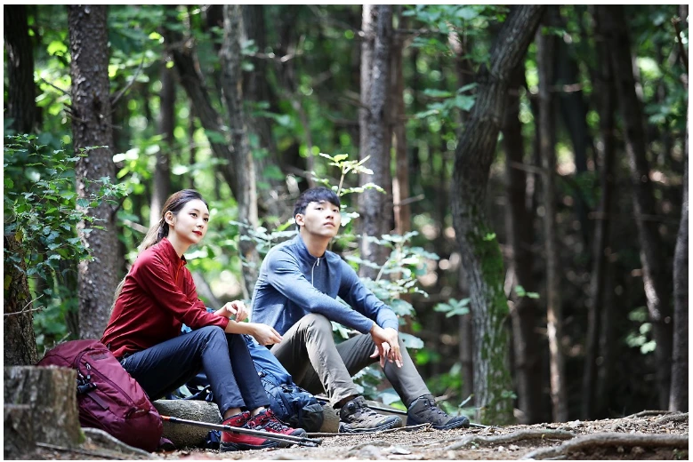 994F313359E59F301827E2