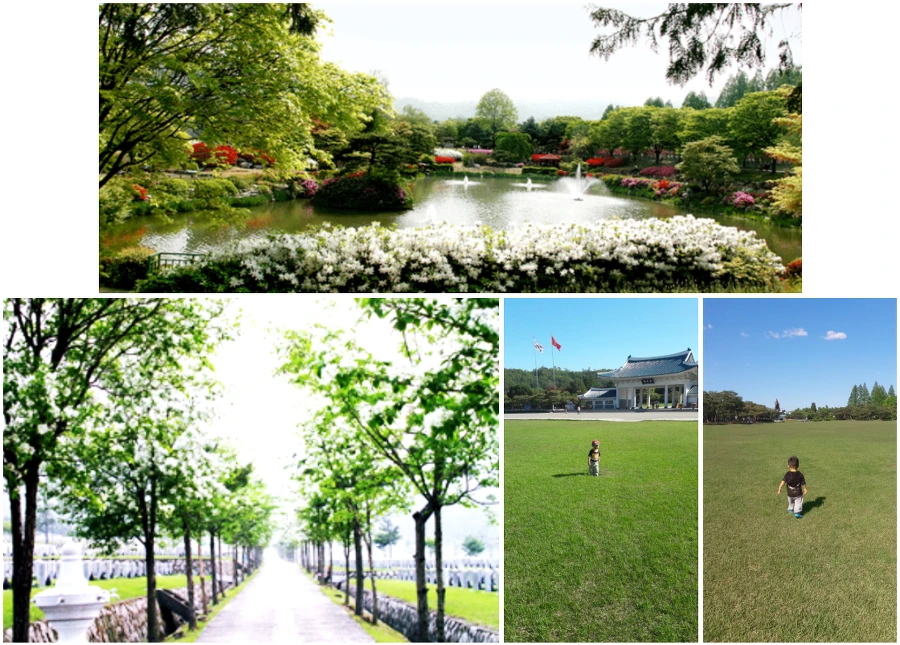 999309405B16B4CF156F21