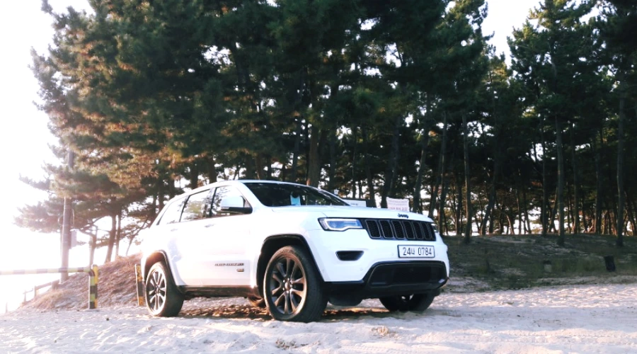 99E7E13359FAD94E3F3F45