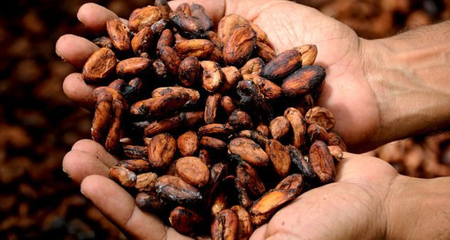 99123D385B7F38ED14DCE6