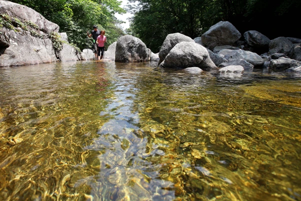 image.png?type=w1200