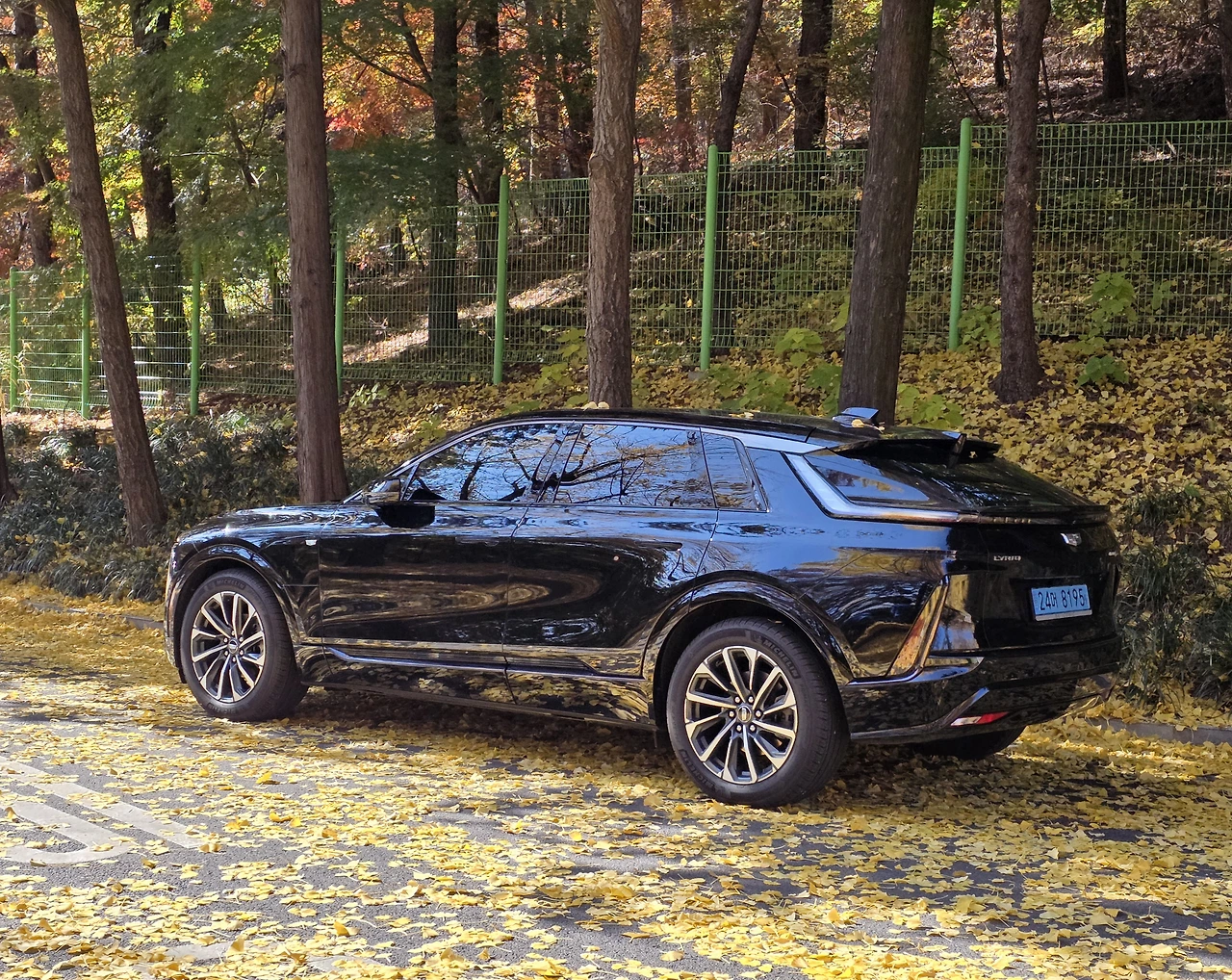 img.jpg?credential=yqXZFxpELC7KVnFOS48ylbz2pIh7yKj8&expires=1764514799&allow_ip=&allow_referer=&signature=kEfmH8idxu3Cci%2F0H9RXeu81Gvg%3D