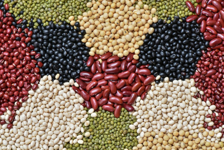 997594385BD8D4761CA3F6