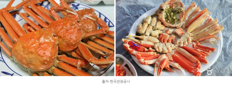 996C9D435A5708A40640B2