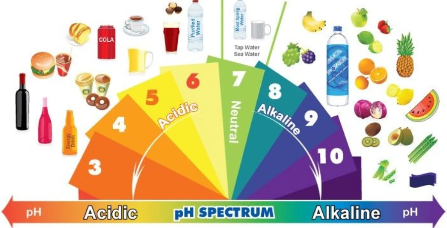 99081F505C8E589F0AD2F3