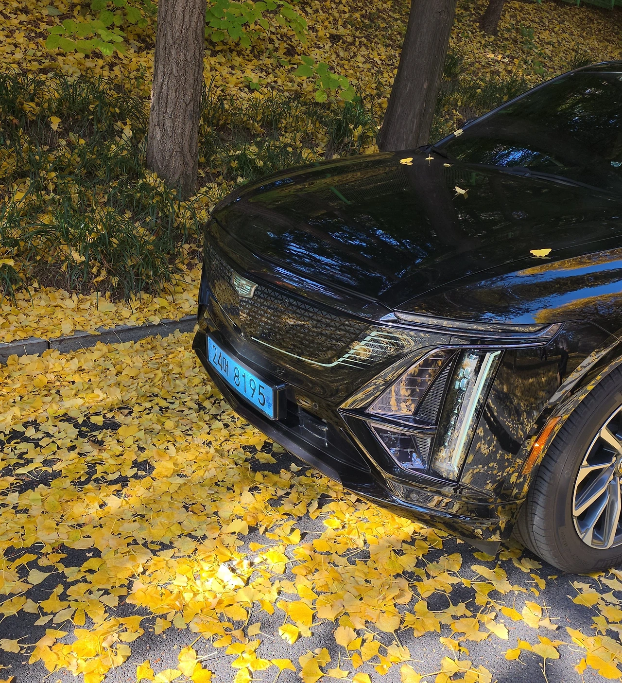 img.jpg?credential=yqXZFxpELC7KVnFOS48ylbz2pIh7yKj8&expires=1764514799&allow_ip=&allow_referer=&signature=GWQ9aY3%2BwWCekDf5%2B9VkbfD0JNo%3D