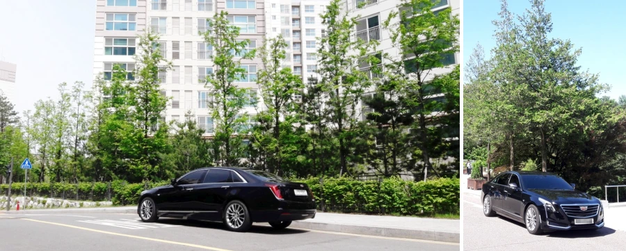 996EC7455B04C59E2D4029