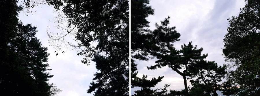 992E9D335A0503BF16637B