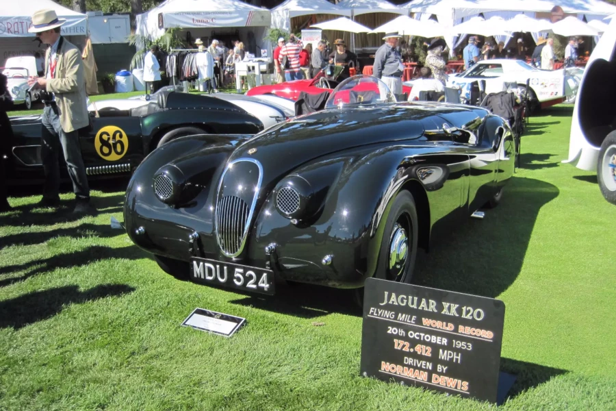 99D1AF415A4FB25C08C4D5