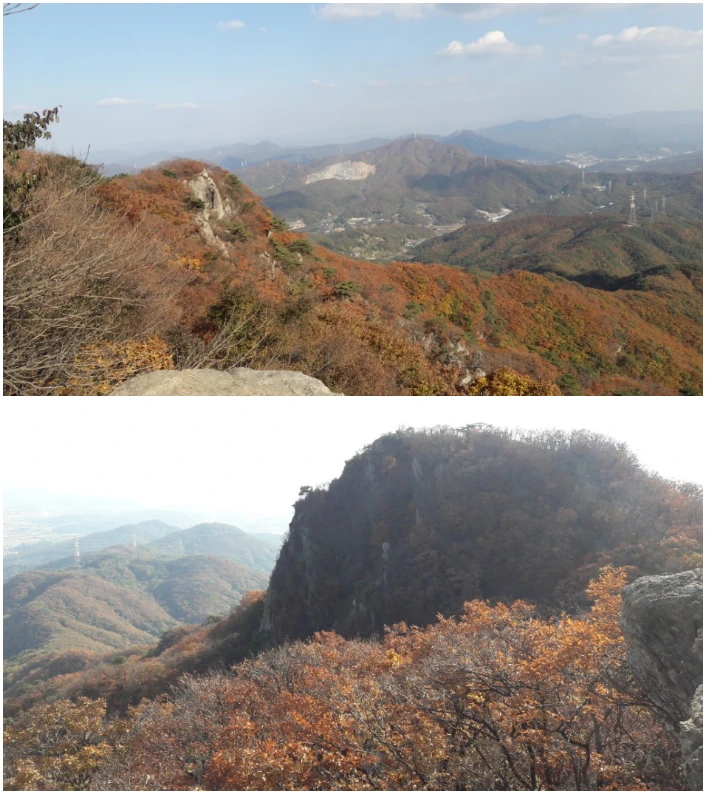 9967833359F7D8AD31AF42