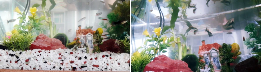 991620335AC728BE038A37