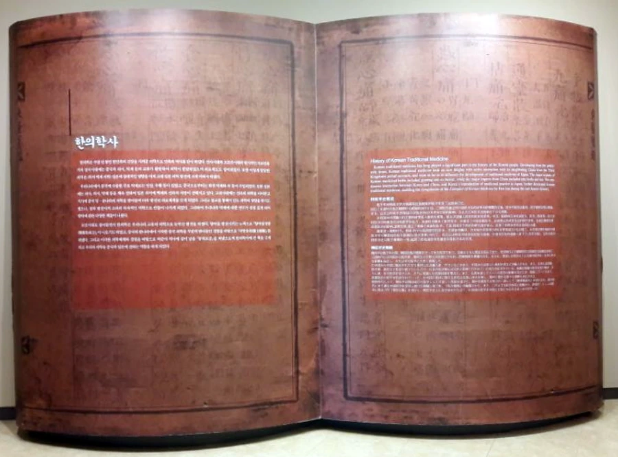 997867335B6F8C3030BE89