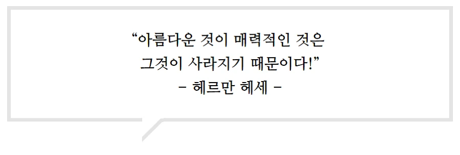 9946A93D5A52FCCF2D783A