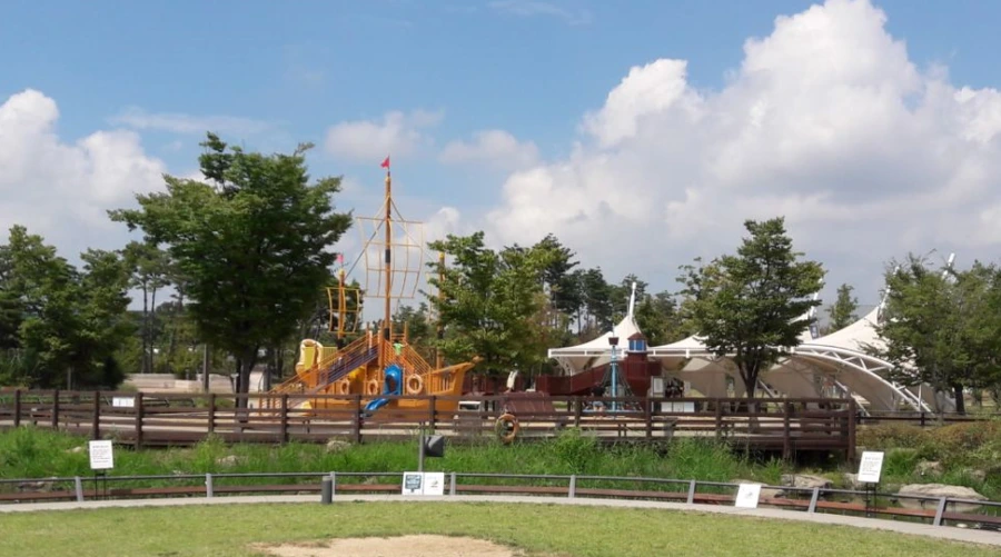 995A253B5B8B47370BBD43