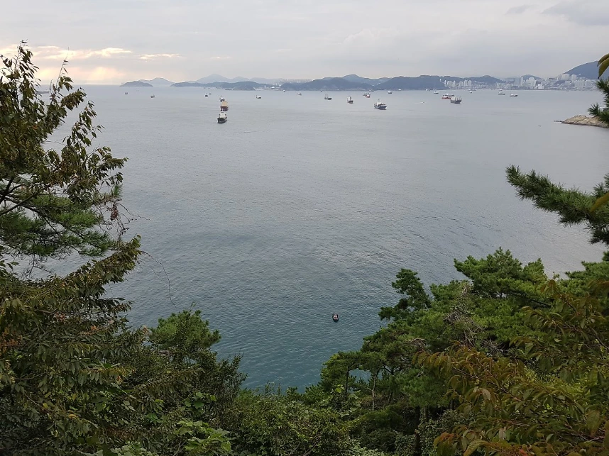 99D301335A0503BD1B9BBE