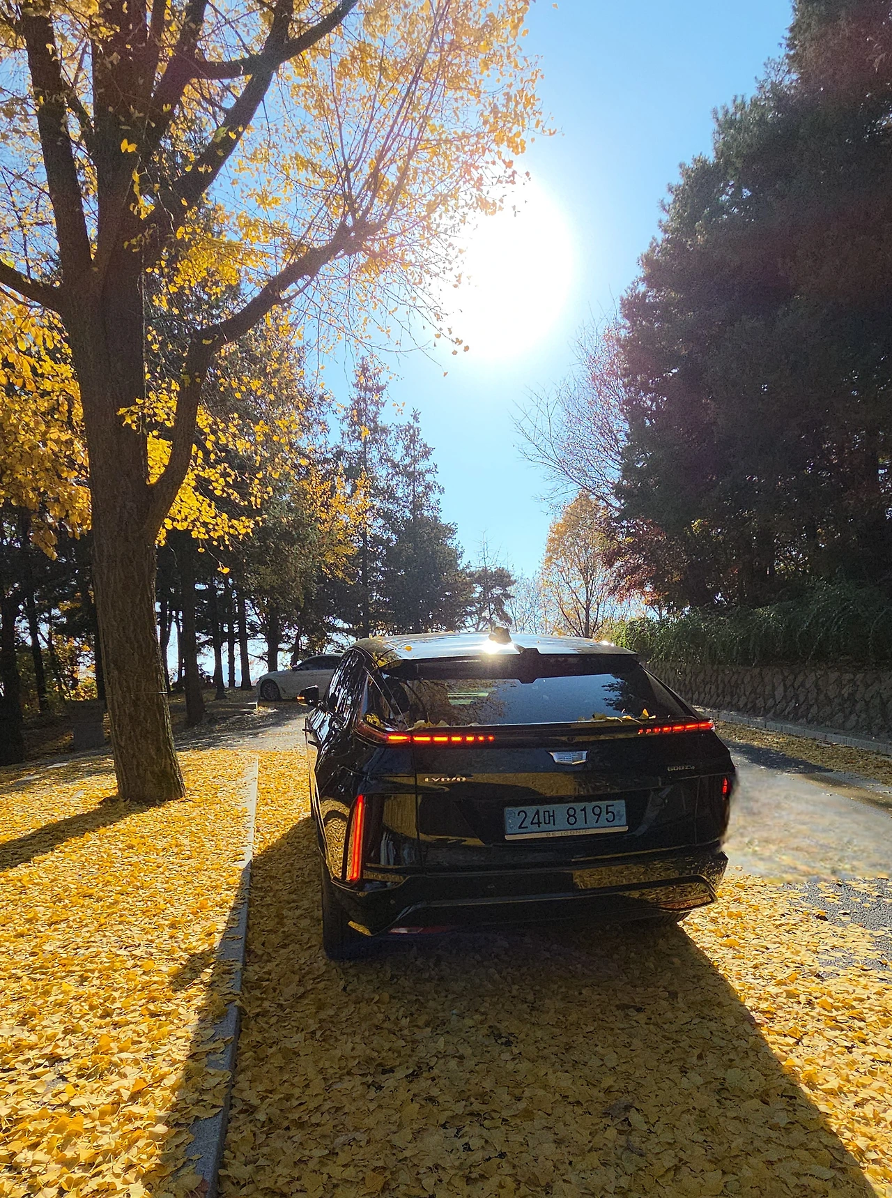 img.jpg?credential=yqXZFxpELC7KVnFOS48ylbz2pIh7yKj8&expires=1764514799&allow_ip=&allow_referer=&signature=TNCeYMRLAgysxccAdW7RdItMp5M%3D