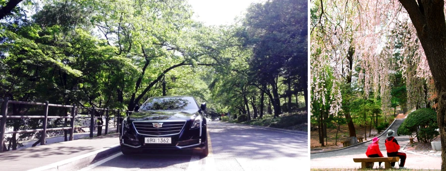 99940C405B16B4CD158DF3