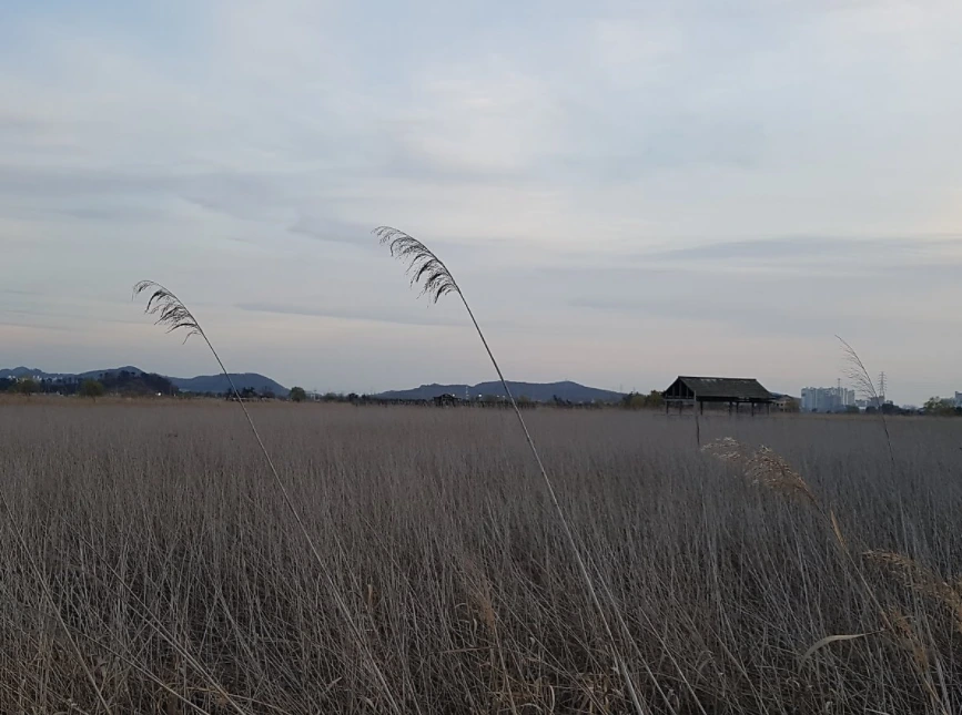 9995914C5A3D8424123A9D