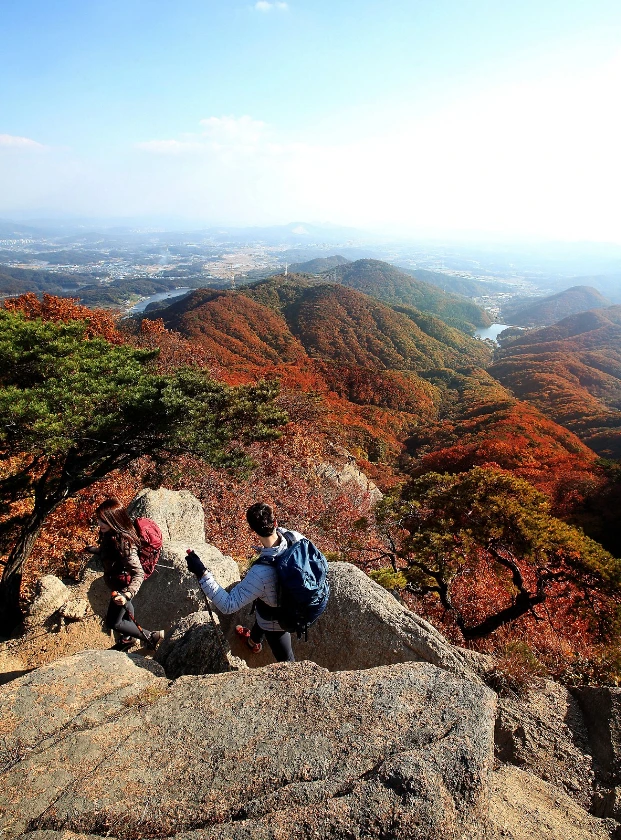 99069F3359F7D8A7030DD8