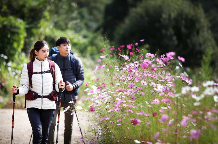 9965743359E59CD3026724