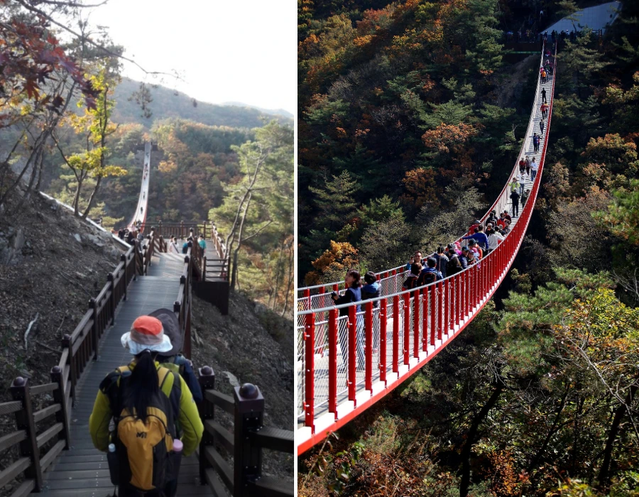 99B9043359F7D8263EAC73