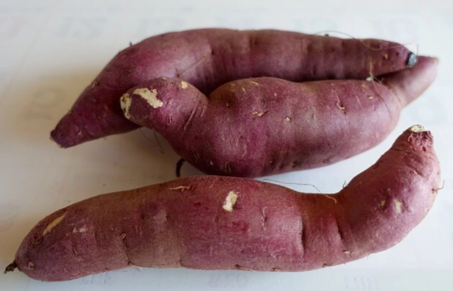 9926BC445B2920CC15C2C0