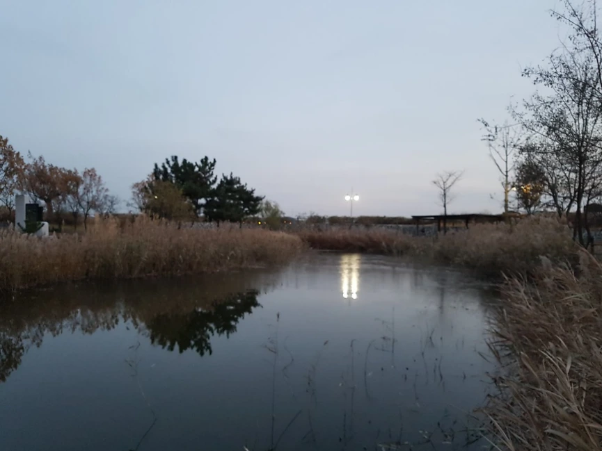 995ECB4C5A3D84220286F9