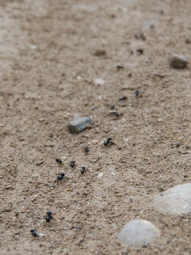 99880F3359BF2DAB3217C0