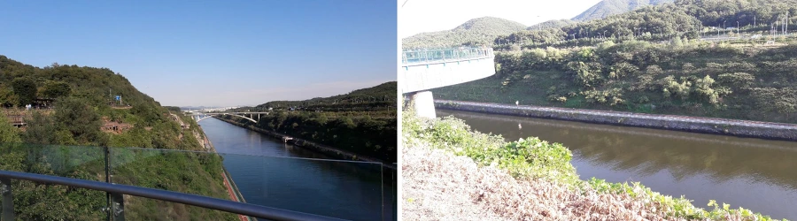 99229D335BC0A817321236