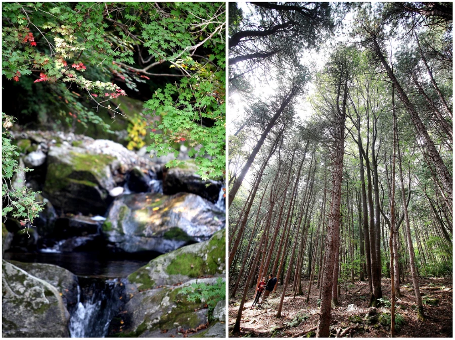 99C3583359E59CD02ADA69