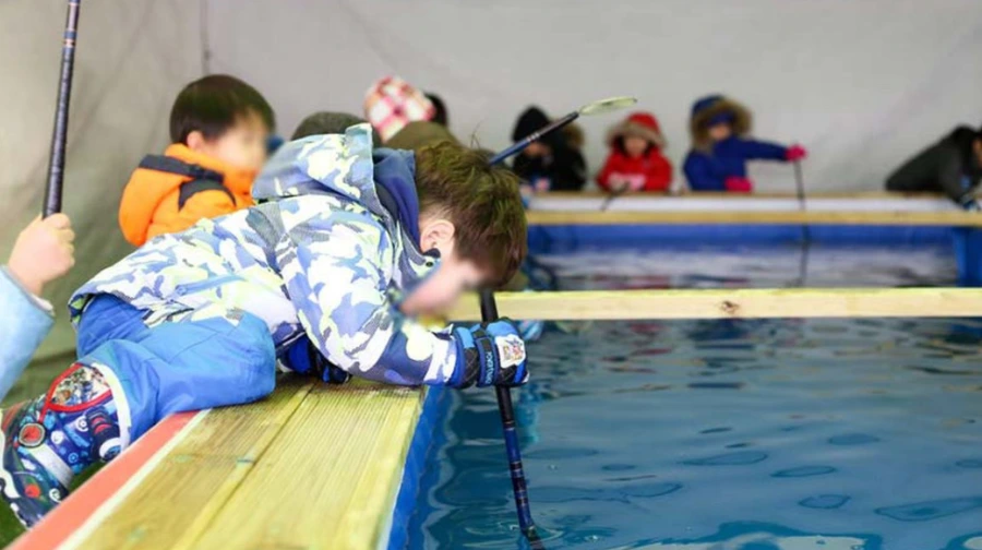 99B8A13E5A804F590F2628