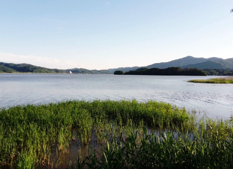 990A913F5B04E39B02EDA8