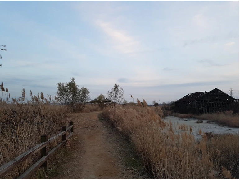 9917D3485A3D841F0F2639