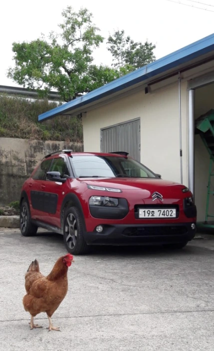 2017-09-18 14;48;40.PNG