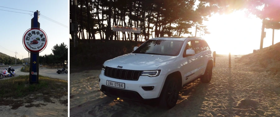 9907D43359FAD95028D535