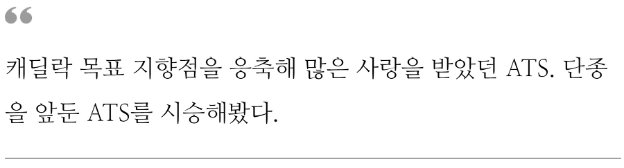 993A17455B53410E1F7E85