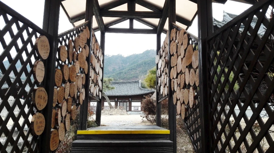 9995D3485C5E4DBA161BA3