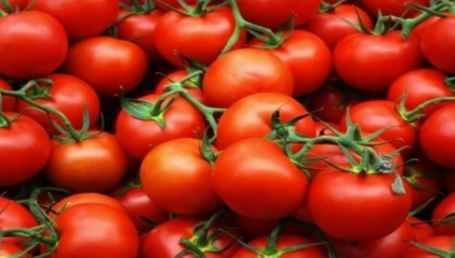 997A7A445B2920C8211F8A