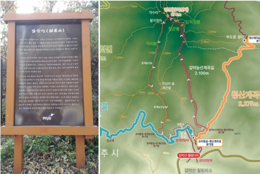 991E513359F7D823093C52