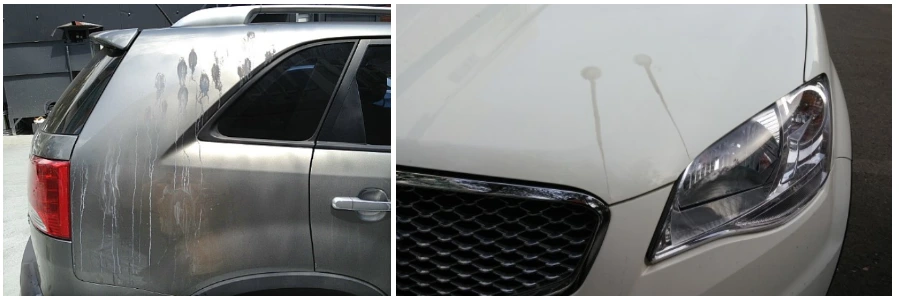 243C0A47592BFAB4167C1B