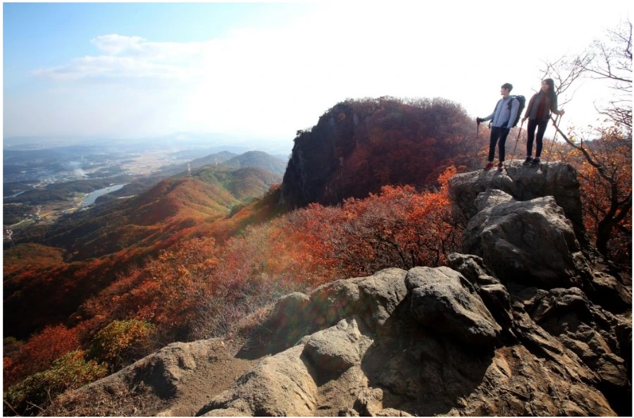 99DD673359F7D8AA17A79C