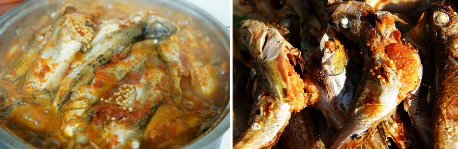 998C43445A5708A025E5AE