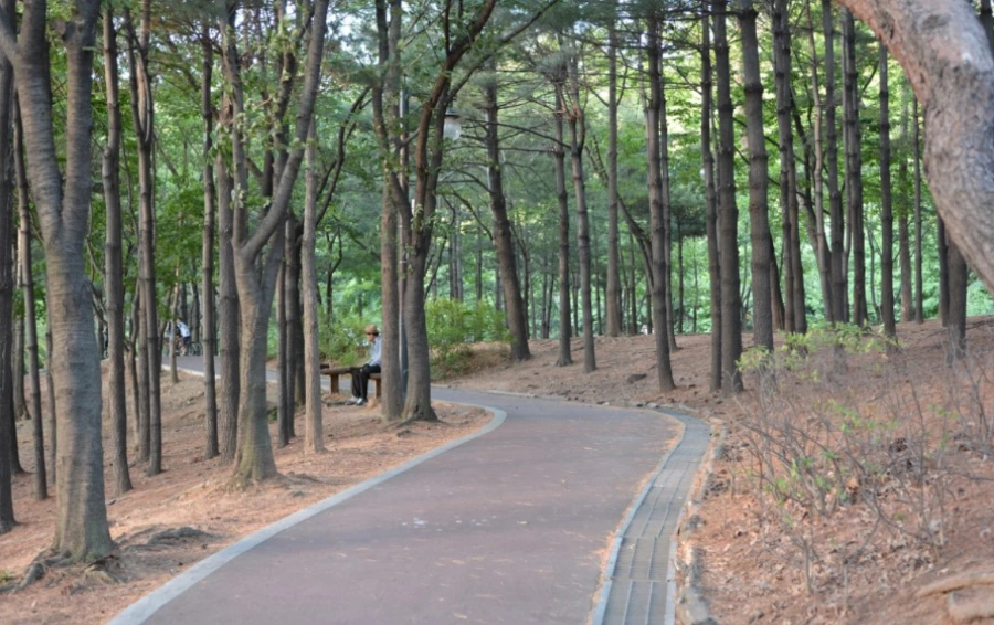 991FD6485B5B909F0D753F