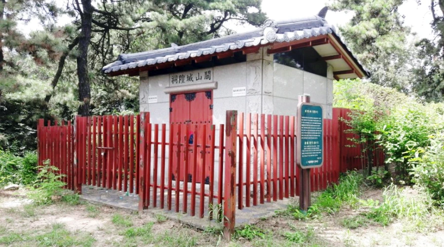 991205385BAD49C435115C